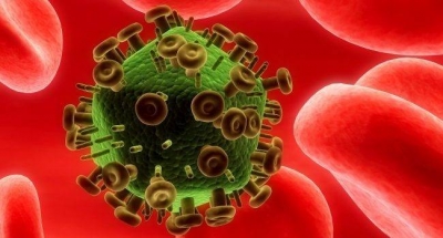Как сезонная простуда может защитить организм от коронавируса